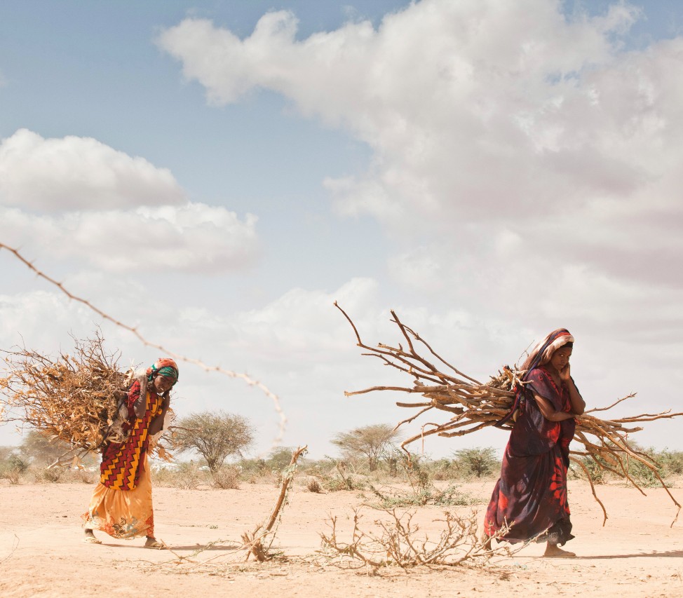 Kenia / Refugiados somalíes / Las mujeres refugiadas llevan palos que se utilizarán en la construcción de un tukol, el tradicional refugio somalí con forma de cúpula. Son parte de un éxodo reciente de Somalia debido a la continua guerra civil y las consecuencias de la sequía y el hambre.