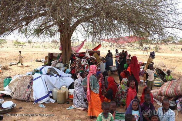 Personas refugiadas de Sudán acampan debajo de un árbol en un pueblo en Chad, a 5 km de la frontera. © ACNUR/Aristophane Ngargoune