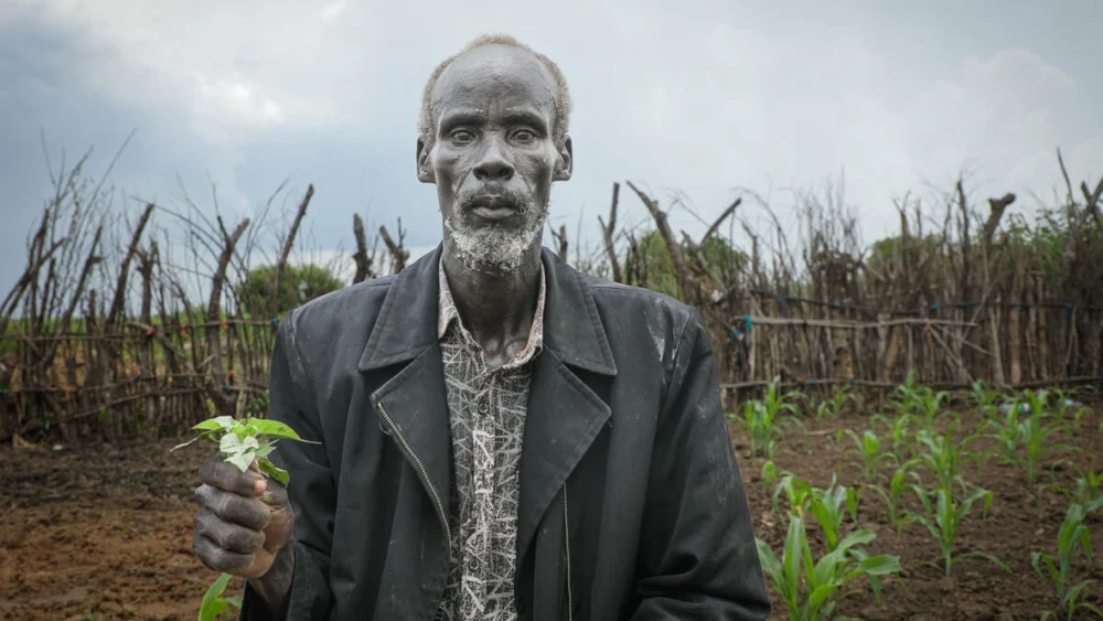 Older man in a dark jacket holding a small green seedling in a cultivated field.