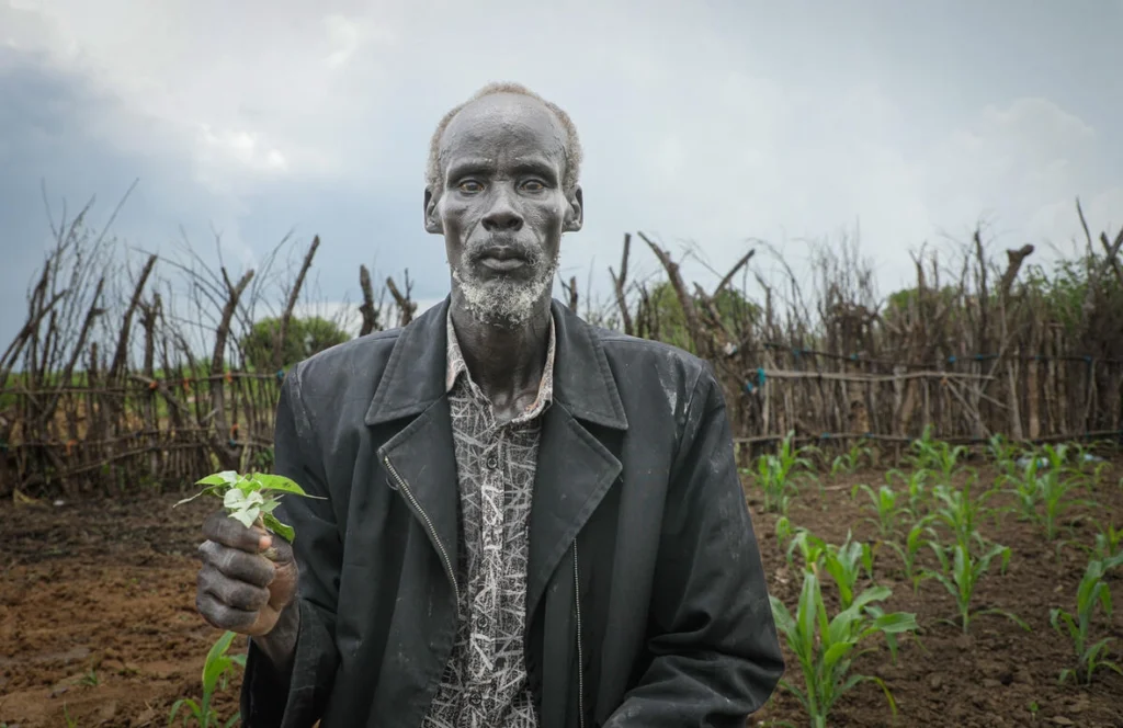 Older man in a dark jacket holding a small green seedling in a cultivated field.