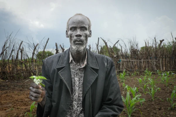 Older man in a dark jacket holding a small green seedling in a cultivated field.